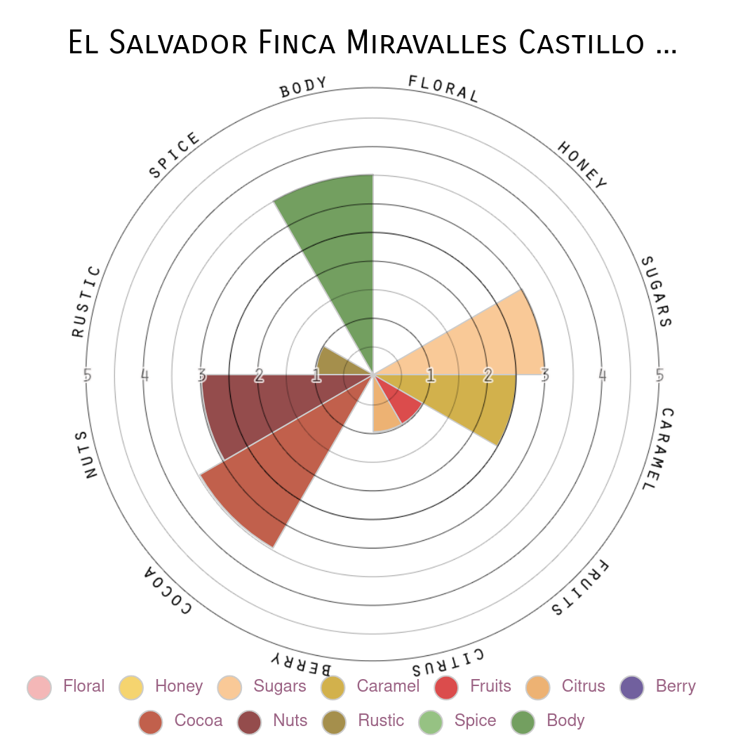 El Salvador Washed