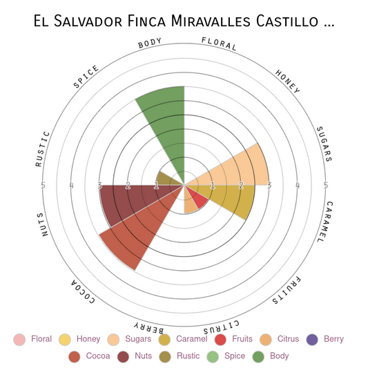 El Salvador Washed
